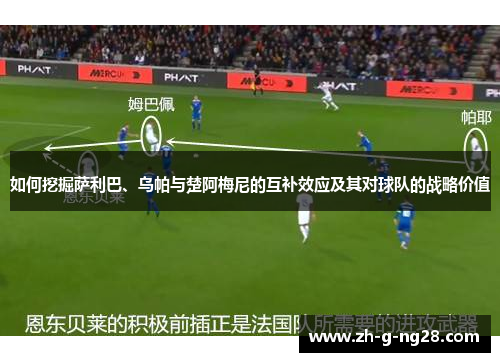 如何挖掘萨利巴、乌帕与楚阿梅尼的互补效应及其对球队的战略价值